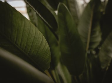 Card193 如何管理教室里注意力缺失的孩子