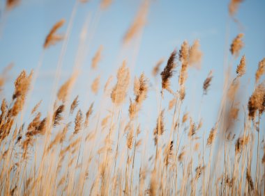 Card199 一位不再苛求自己的作者