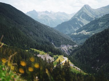 Card197 转化压力:选择发现痛苦的好处