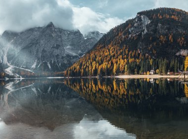 Card206 制定灵活策略,延长专注力持续时间