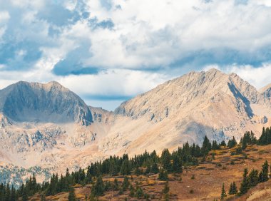 Card210 12条训练意志力的建议