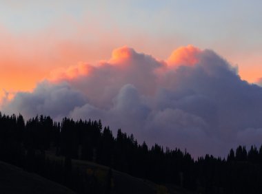 Card207 在注意力分散之前,重构内在分心的触发因素