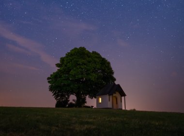 Card238 用户行为决策理论:启发式、决策偏见和决策框架