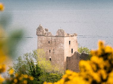 Card239 产品差异化的9个影响因素