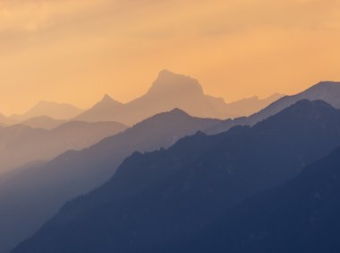 Card236 G-STIC营销行动计划