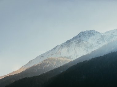 Card225 拉扎勒斯的压力模型