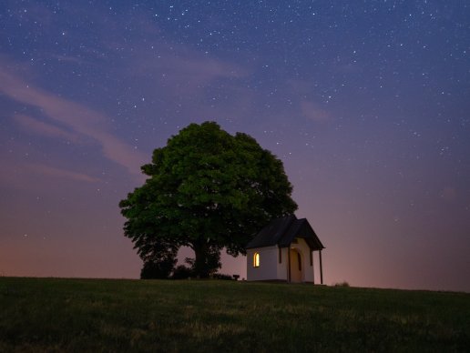 Card238 用户行为决策理论：启发式、决策偏见和决策框架