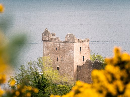 Card239 产品差异化的9个影响因素