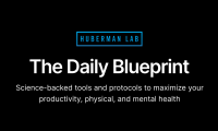 Hubermanlab每日最佳健康日程表