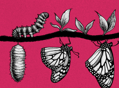 职业转型思考框架:找准下个阶段你要去的地方