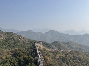 学习面对父母的老去
