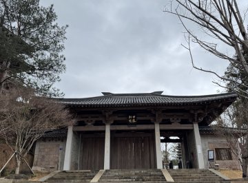 禅修笔记：像鹰一样自在翱翔