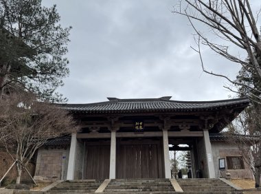 禅修笔记:像鹰一样自在翱翔