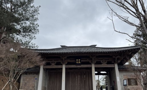 禅修笔记：像鹰一样自在翱翔